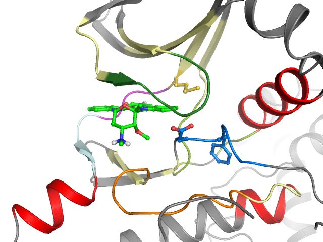 The orthosteric binding pocket