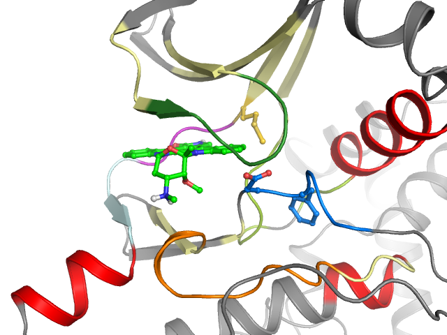 The orthosteric binding pocket