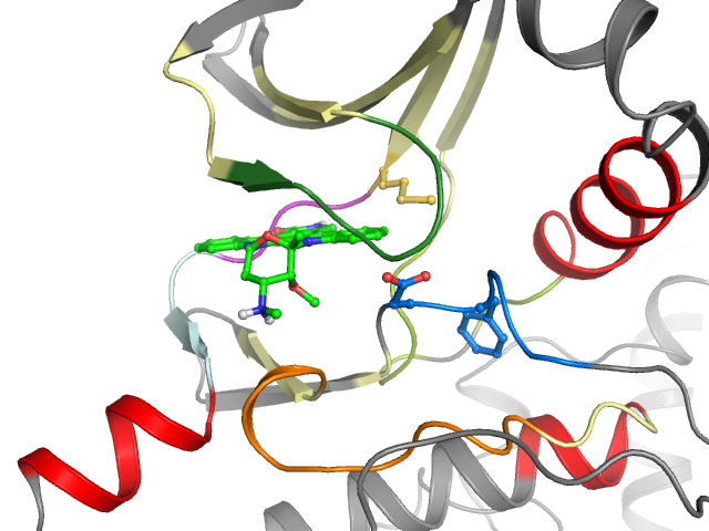 The orthosteric binding pocket