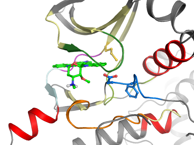 The orthosteric binding pocket