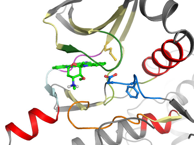 The orthosteric binding pocket