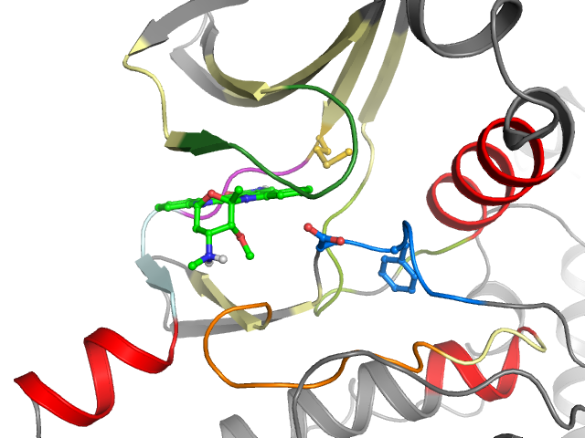 The orthosteric binding pocket
