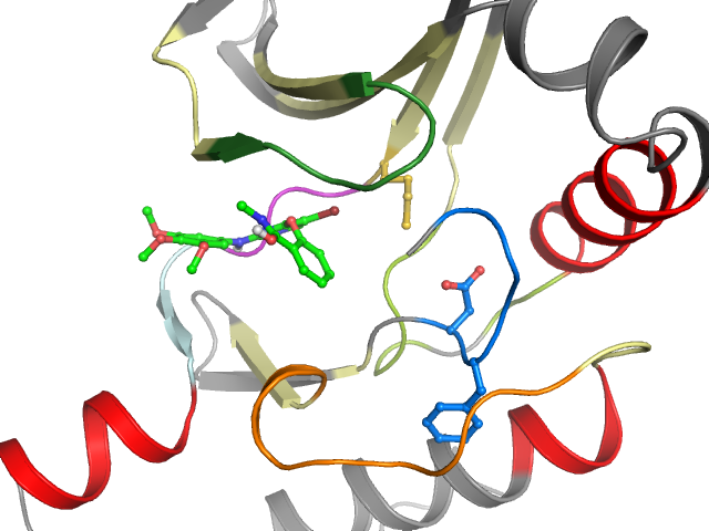 The orthosteric binding pocket