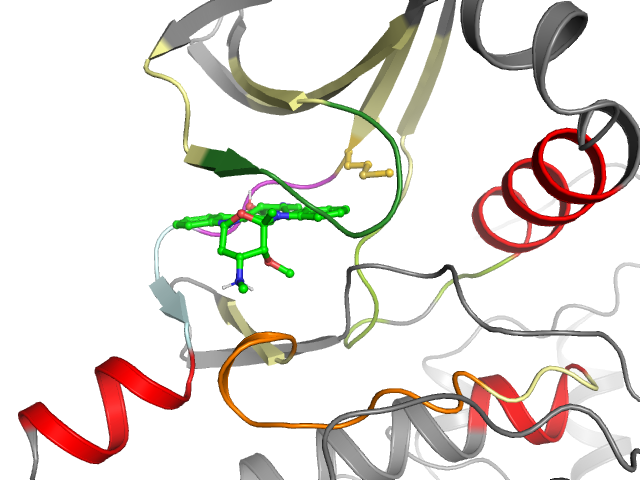 The orthosteric binding pocket