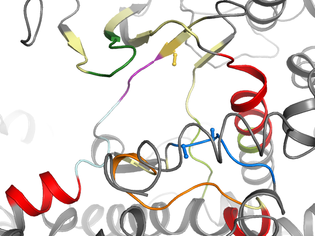 The orthosteric binding pocket