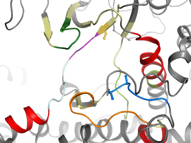 The orthosteric binding pocket