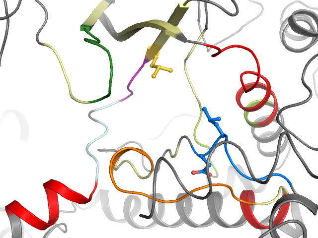 The orthosteric binding pocket