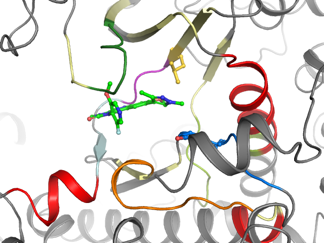 The orthosteric binding pocket