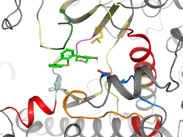 The orthosteric binding pocket