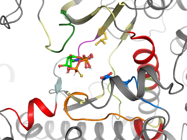 The orthosteric binding pocket