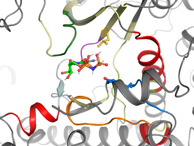 The orthosteric binding pocket