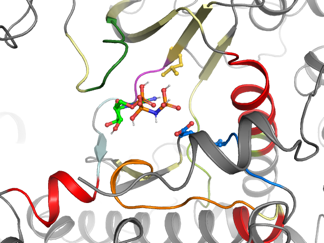 The orthosteric binding pocket