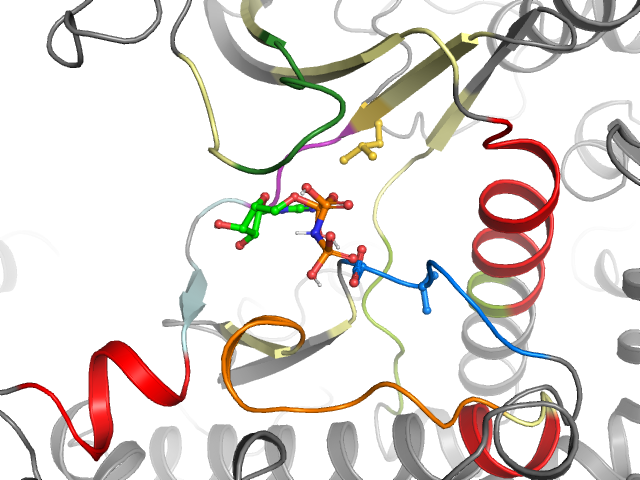 The orthosteric binding pocket