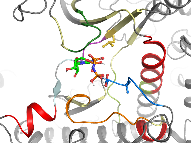 The orthosteric binding pocket