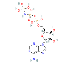 2D structure of the orthosteric ligand