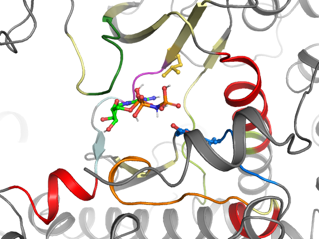The orthosteric binding pocket