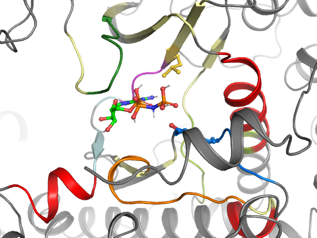 The orthosteric binding pocket