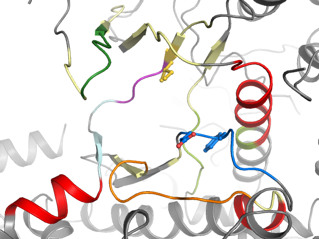 The orthosteric binding pocket