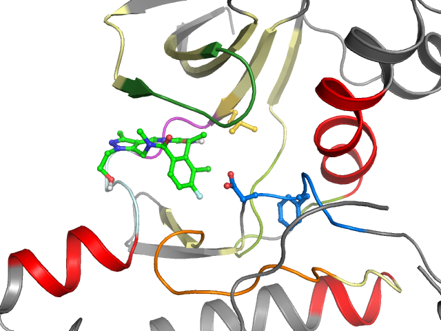 The orthosteric binding pocket