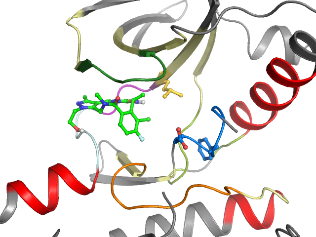 The orthosteric binding pocket