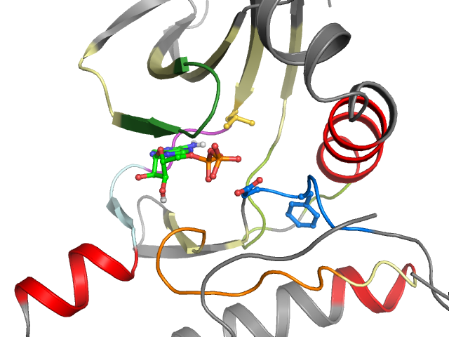 The orthosteric binding pocket