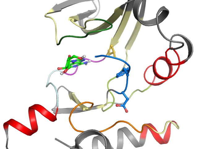 The orthosteric binding pocket
