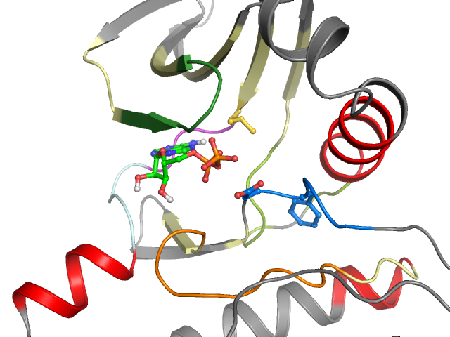The orthosteric binding pocket