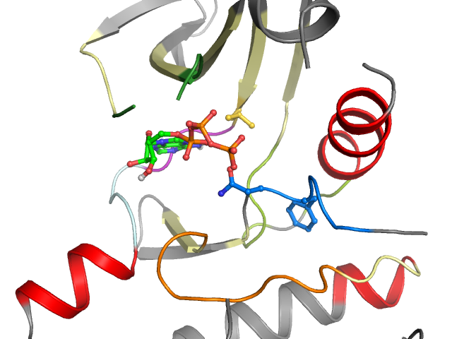 The orthosteric binding pocket