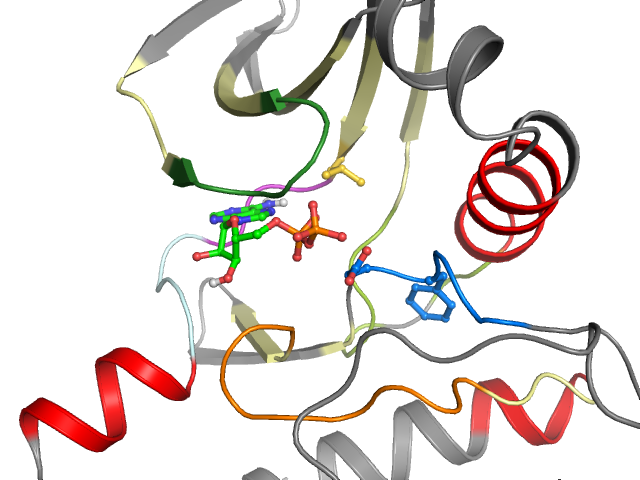 The orthosteric binding pocket