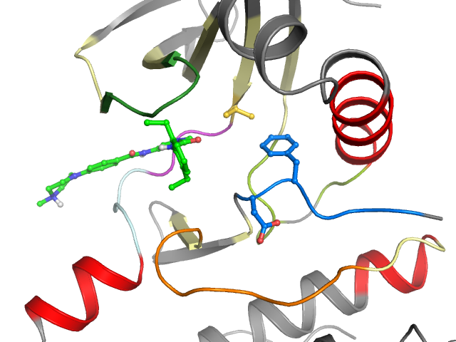 The orthosteric binding pocket