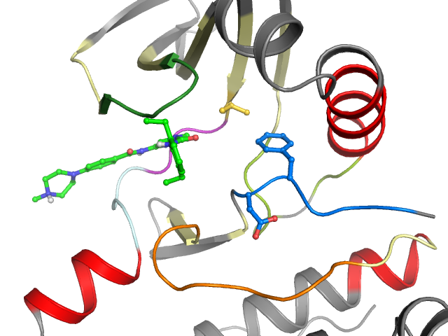 The orthosteric binding pocket