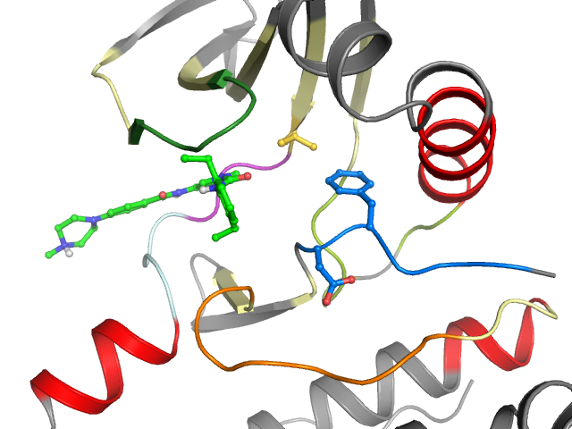 The orthosteric binding pocket