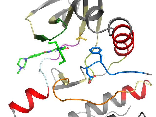 The orthosteric binding pocket