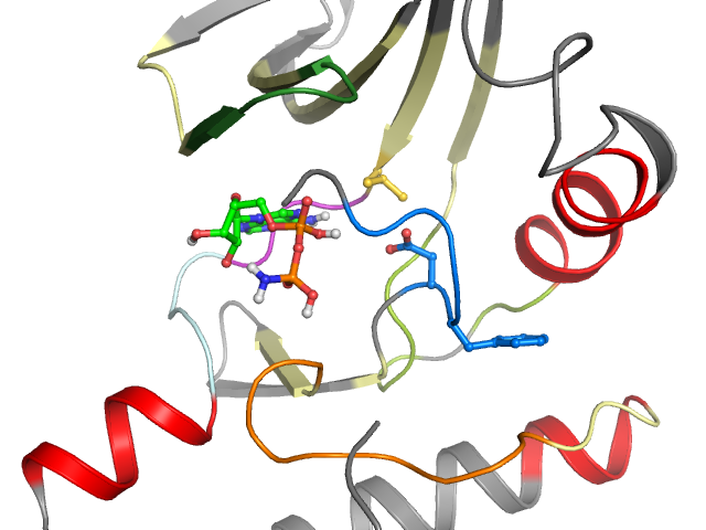 The orthosteric binding pocket