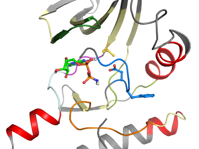 The orthosteric binding pocket