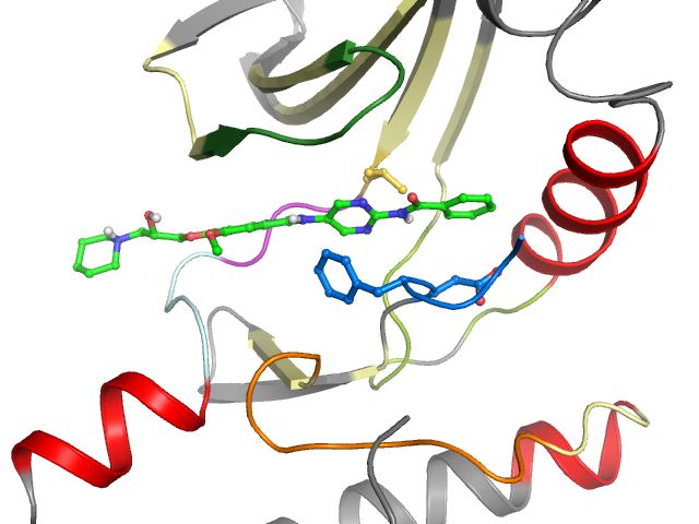 The orthosteric binding pocket