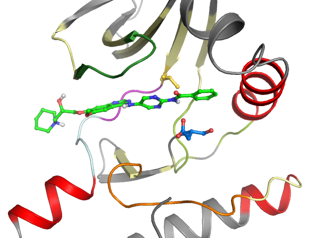 The orthosteric binding pocket