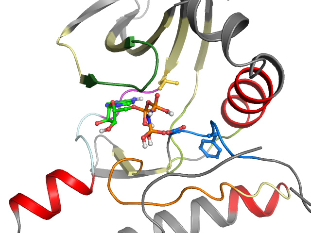 The orthosteric binding pocket