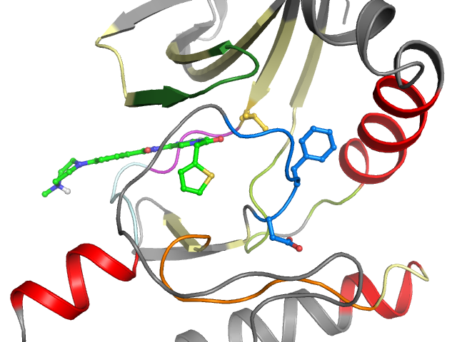 The orthosteric binding pocket
