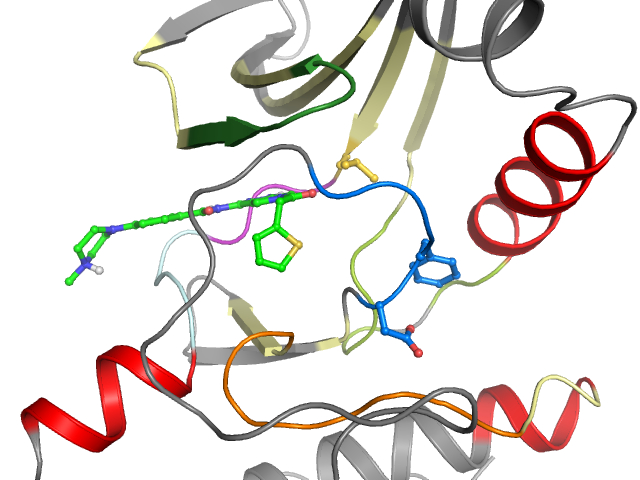 The orthosteric binding pocket