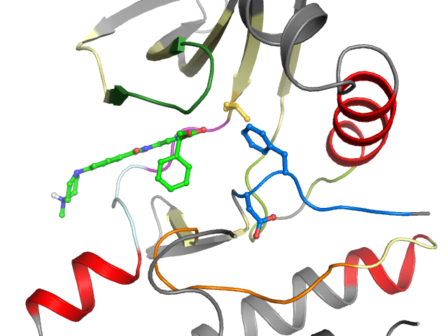 The orthosteric binding pocket