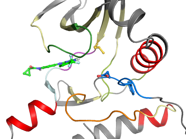 The orthosteric binding pocket