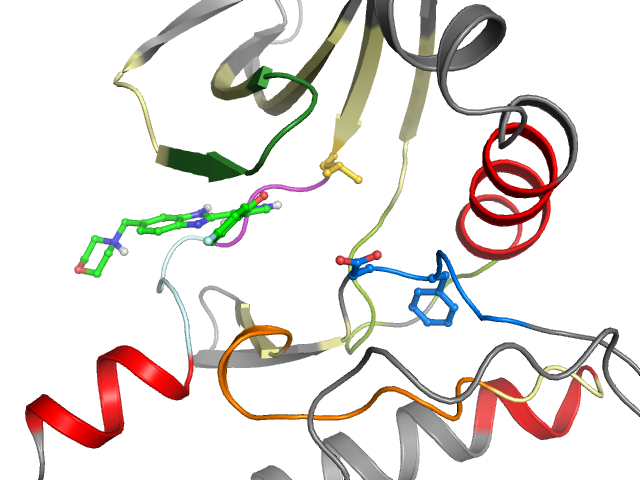 The orthosteric binding pocket