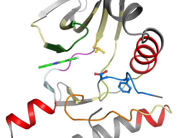 The orthosteric binding pocket