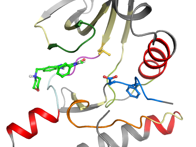 The orthosteric binding pocket