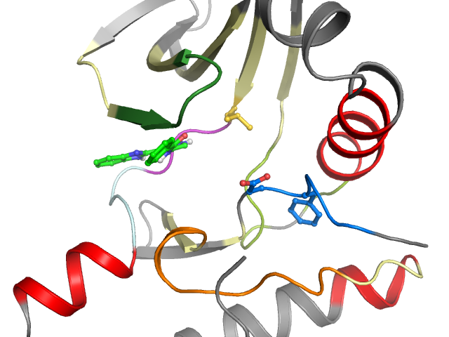 The orthosteric binding pocket