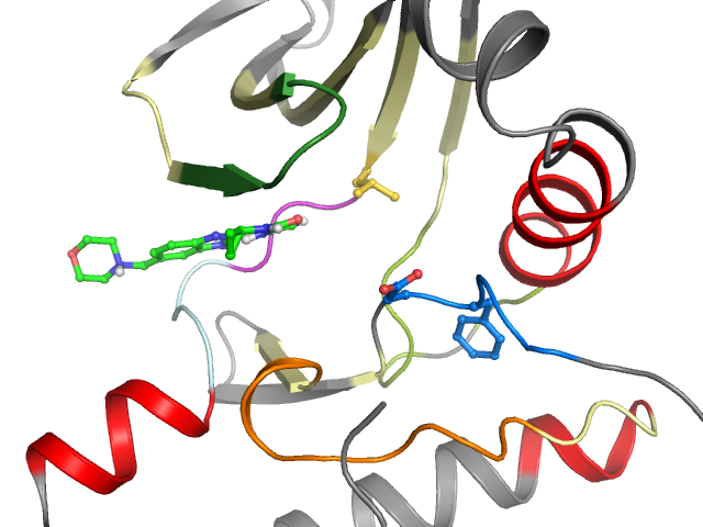 The orthosteric binding pocket