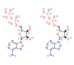 2D structure of the allostericligand