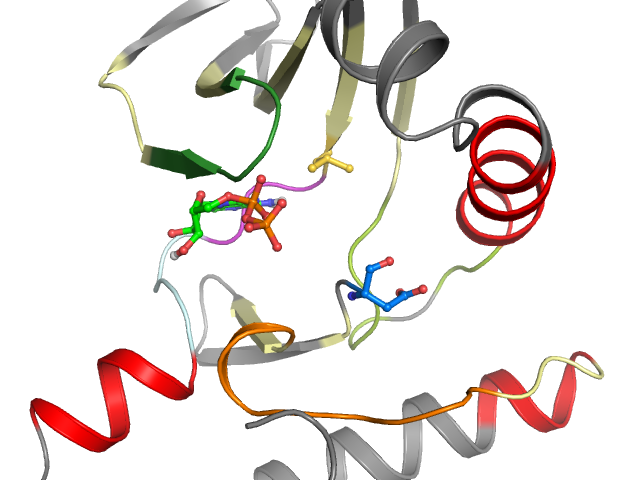 The orthosteric binding pocket