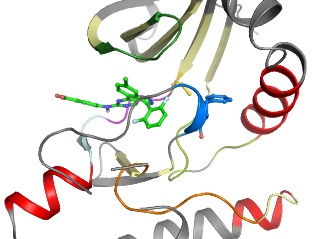 The orthosteric binding pocket